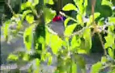 Home And Away 6845 11th March 2018