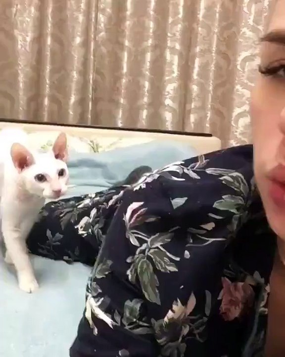 [FUNNY]KungFu CAT