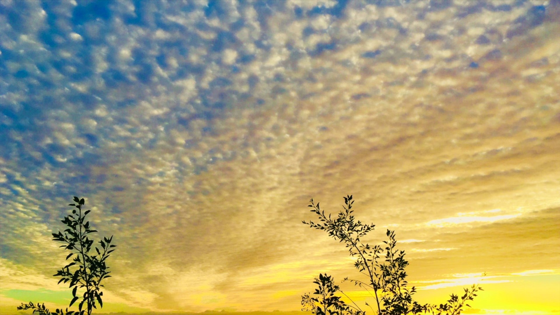 ⁣Country Love Song music video