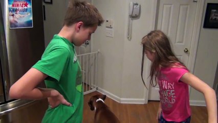 Not a Cast! | Whitneys Ankle Injury