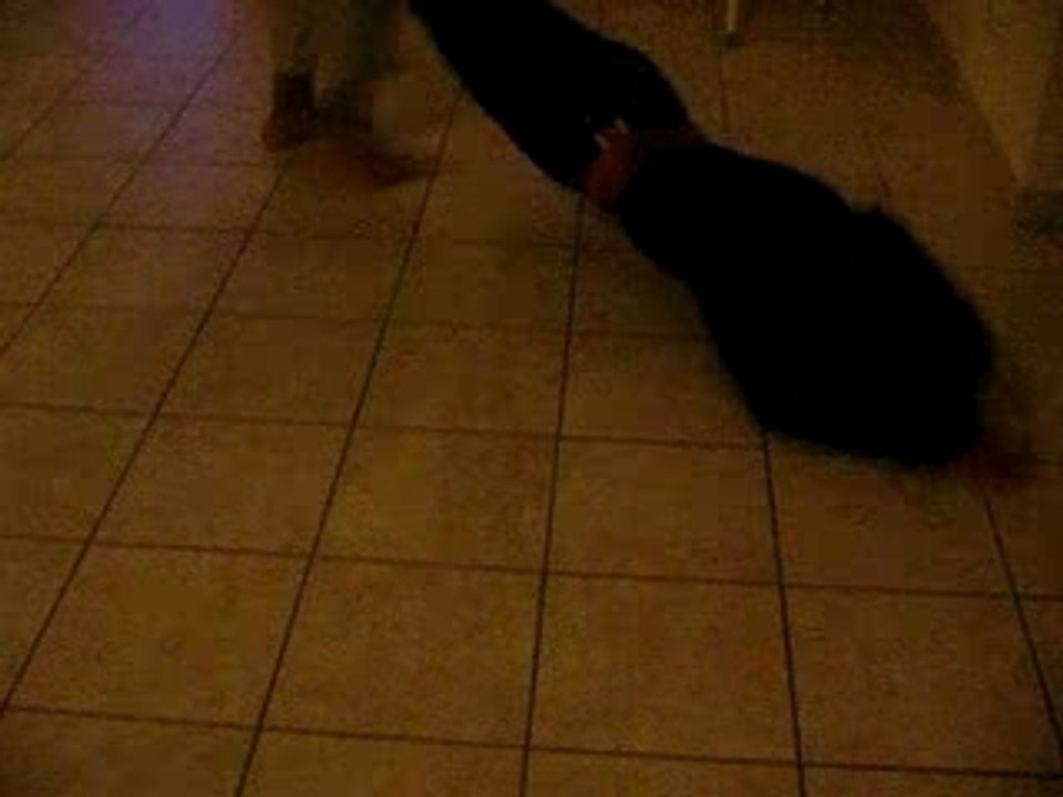 Marina la toupie.... vu par son beau frère