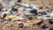 في 2050 ..يتوقع ان تصبح كمية النفايات في بحار العالم أكبر من كمية الكائنات الحية !