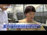 [14/07/14 뉴스데스크] 남부도 마른 장마, 농가 '비상'...살수차로 농업용수 공급