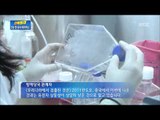 [단독] 中 신종 AI 유사 바이러스, 한국에서도 검출