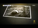 [14/06/25 뉴스데스크] 산 자와 죽은 자 모두에 상처...빛바랜 사진 속 전쟁의 비극