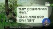 [14/06/26 정오뉴스] 임 병장 메모 '벌레 비유'...김관진 국방장관 집단따돌림 언급