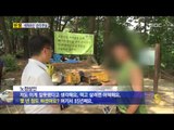 [14/06/26 뉴스데스크] 세계유산 등재 남한산성, 곳곳 훼손된 채 방치