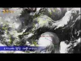 일본 오키나와 덮친 태풍 너구리