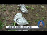 [14/08/04 정오뉴스] 태풍 '나크리'로 12명 사상…강력 태풍 할롱 북상