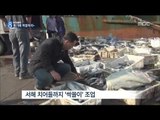 [14/10/11 뉴스데스크] 서해 노리는 20만 중국 어선…치어까지 '싹쓸이' 불법조업