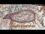 인니 동굴서 4만 년 전 벽화 발견, 손자국 '선명'