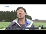 [14/11/27 뉴스투데이] 일본 아소산 분화 시작…화산재 1km 치솟아 '긴장'