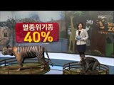 [14/12/08 뉴스데스크] 서울 대공원에 무슨 일이?…동물은 탈출, 사람은 성추행