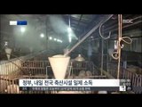 [15/01/06 뉴스투데이] 용인 돼지 농장서 '구제역 의심'…수도권 방역 비상