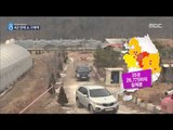 [15/01/06 뉴스데스크] '수도권도 뚫렸다'…4년 만에 소 구제역 확진 판정