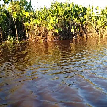 Eco treino nas dunas de Itaúnas