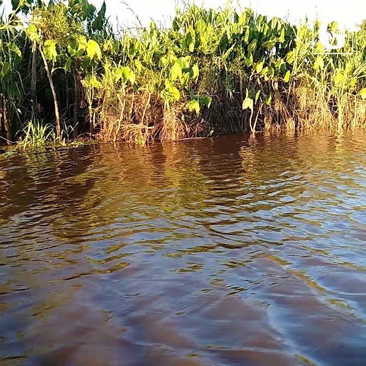 Eco treino nas dunas de Itaúnas