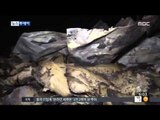 [15/02/20 뉴스투데이] 포천 의류 보관창고서 화재…4시간 만에 진화