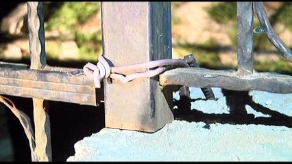 Üzerine okulun demir korkuluğu devrilen çocuk öldü