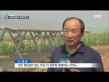 [15/06/27 뉴스데스크] 소형 태양광 발전소 1만 1천여 개 '존폐 위기'