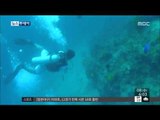 [15/07/08 뉴스투데이] 세부에서 다이빙하다 실종된 한국인 3명 중 2명 발견