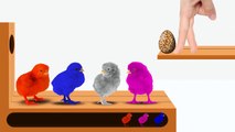 Learn Colors with Colorful Chicks Xylophone Funny Animals Colors Videos for Kids | RainbowPlayTV