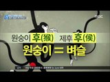 [16/01/01 뉴스데스크] 丙申年 '붉은 원숭이의 해' 의미는? 원숭이는 어떤 동물?