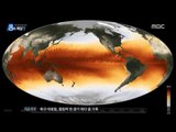 [16/08/05 뉴스데스크] 세계 곳곳 폭염으로 몸살, 주춤했던 '온난화' 가속 탓?