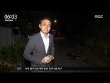 [16/10/15 뉴스투데이] 서울 도심 한복판에 멧돼지 출현, 실탄 쏴 사살