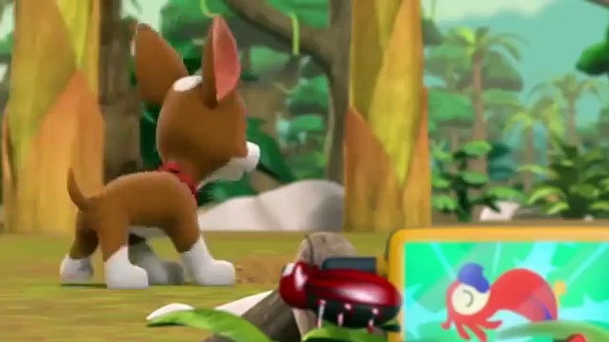 tracker joins the pups