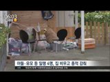 [17/01/11 뉴스투데이] 정유라 아들·유모 등 일행 4명 종적 감춰, '송환 거부' 의심