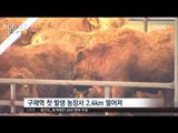 [17/02/13 뉴스투데이] 충북 보은서 6번째 구제역 확진, '물백신' 논란