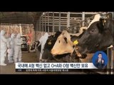 [17/02/09 정오뉴스] 구제역 '2가지 유형' 동시 발병, 방역 비상