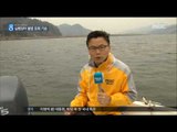 [17/03/21 뉴스데스크] 실뱀장어 '모기장 그물'로 싹쓸이…불법포획 기승