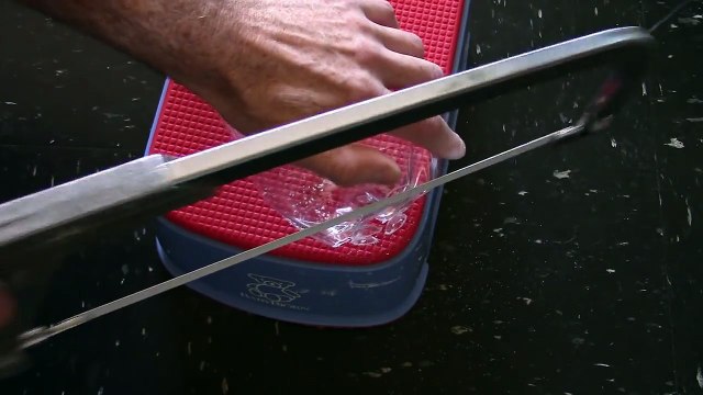 DIY Aquaponics planters of plastic bottle