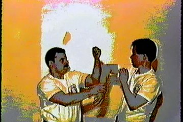 Wing Chun with Terence Yip Chi Sau Part 1