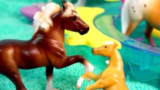 Summer Pool Party - Breyer Horses Stablemates Mares Stallions Foals Horse Water Play Video