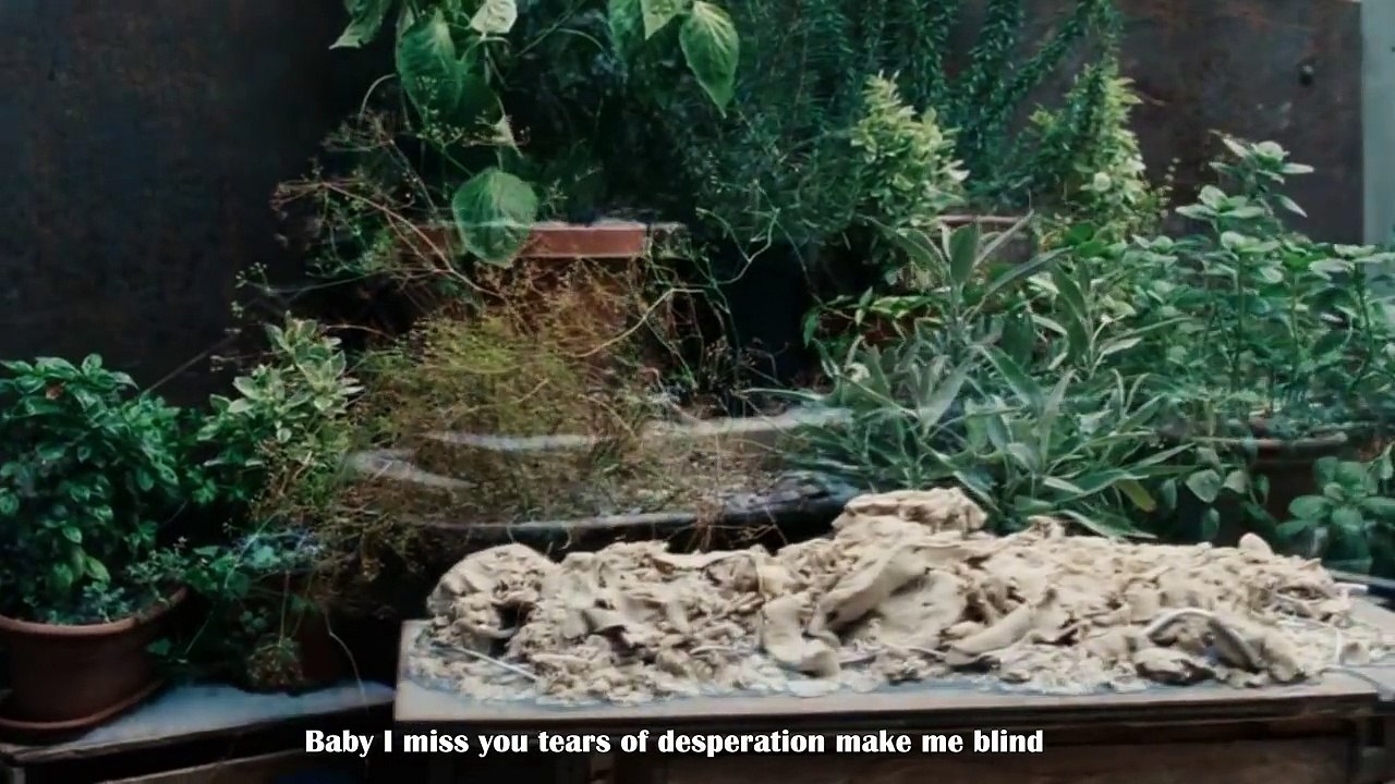 Baby I Miss You - Chris Norman - Lyrics