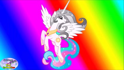 My Little Pony Transforms from Baby to Alicorn Princess Surprise Egg and Toy Collector SETC