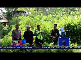 Puluhan Ikan dan Bebek Mati Tercemar - NET16