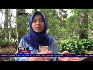 Pengawasan Ketat Kebun Binatang Bandung Pasca Kejadian Orangutan Merokok - NET12
