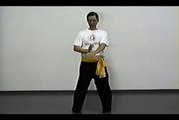 Wing Chun with Terence Yip Chum Kiu Part 3