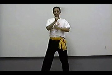 Wing Chun with Terence Yip Chum Kiu Part 5