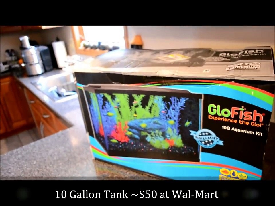 GloFish Aquarium Set Up Part 1 LED Lights video Dailymotion