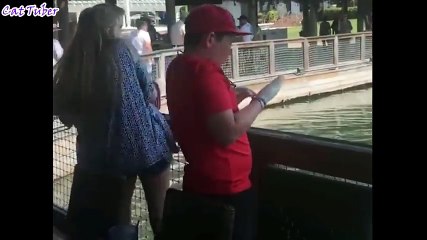 Sexy girls funny fails