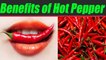 Hot Pepper and its amazing health benefits to know | Boldsky