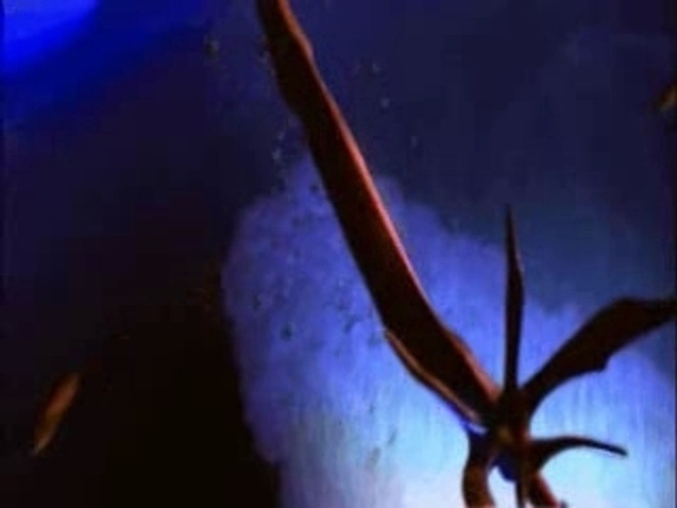 StarCraft (Rammstein) - Du Hast (StarCraft Remix)