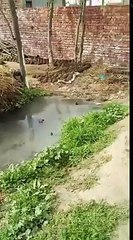 ਦੇਖੋ ਕਿਵੇਂ ਇਸ ਅਮ੍ਰਿਤਧਾਰੀ ਸਿੱਖ ਪਰਿਵਾਰ ਨਾਲ ਪ੍ਰਸ਼ਾਸ਼ਨ ਕਰ ਰਿਹਾ ਹੈ ਧੱਕੇਸ਼ਾਹੀ