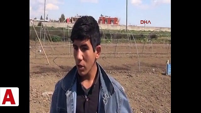 Tarlayı sürerken uyuyan kuzenini ezerek öldürdü