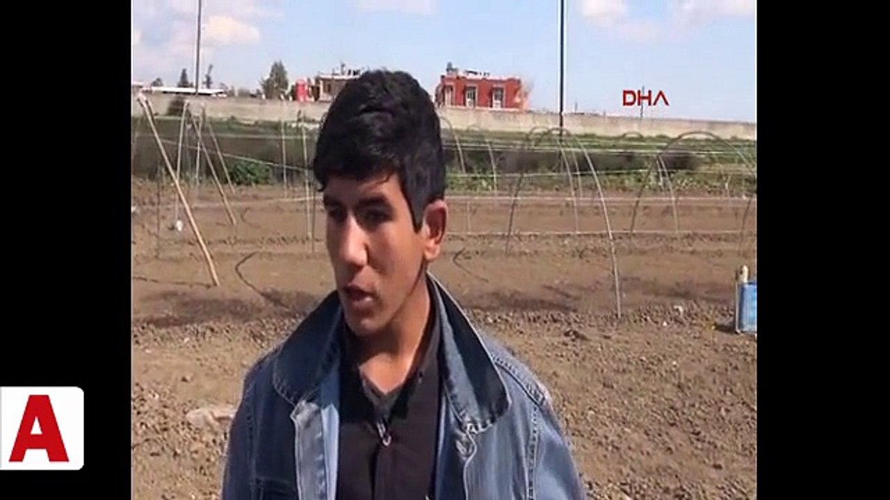 Tarlayı sürerken uyuyan kuzenini ezerek öldürdü